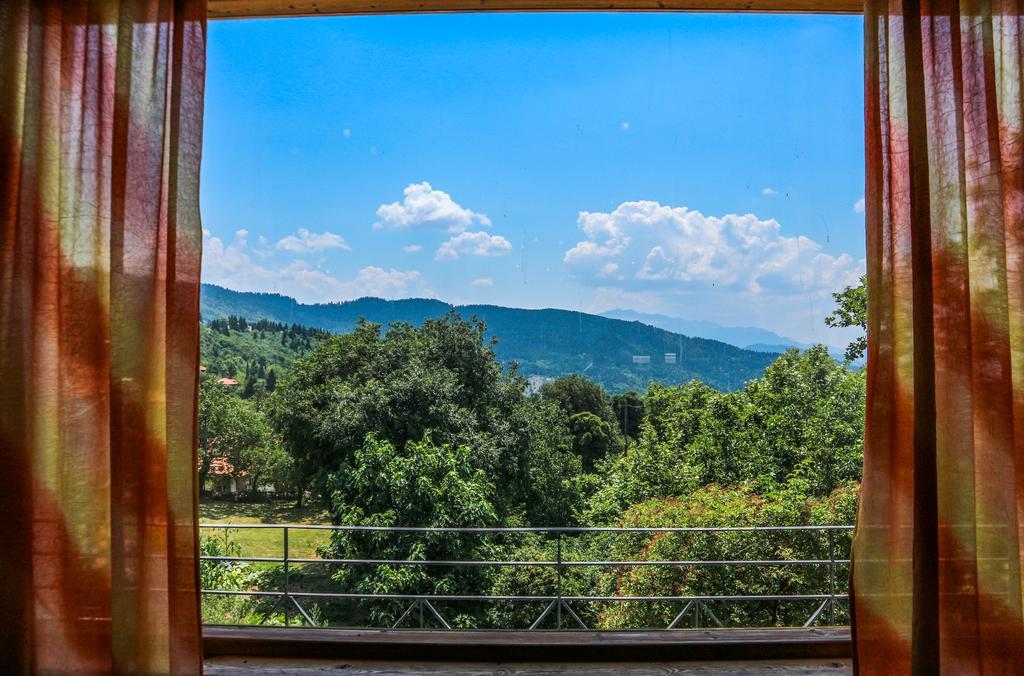 Hotel Elatofilito Athamanio Exteriér fotografie