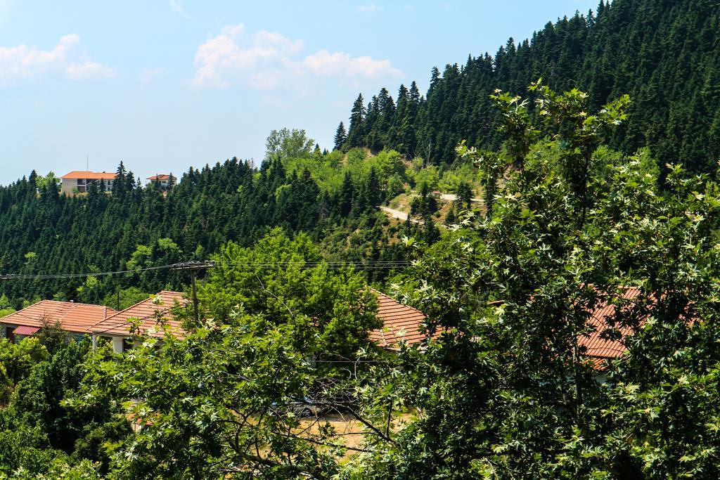Hotel Elatofilito Athamanio Exteriér fotografie