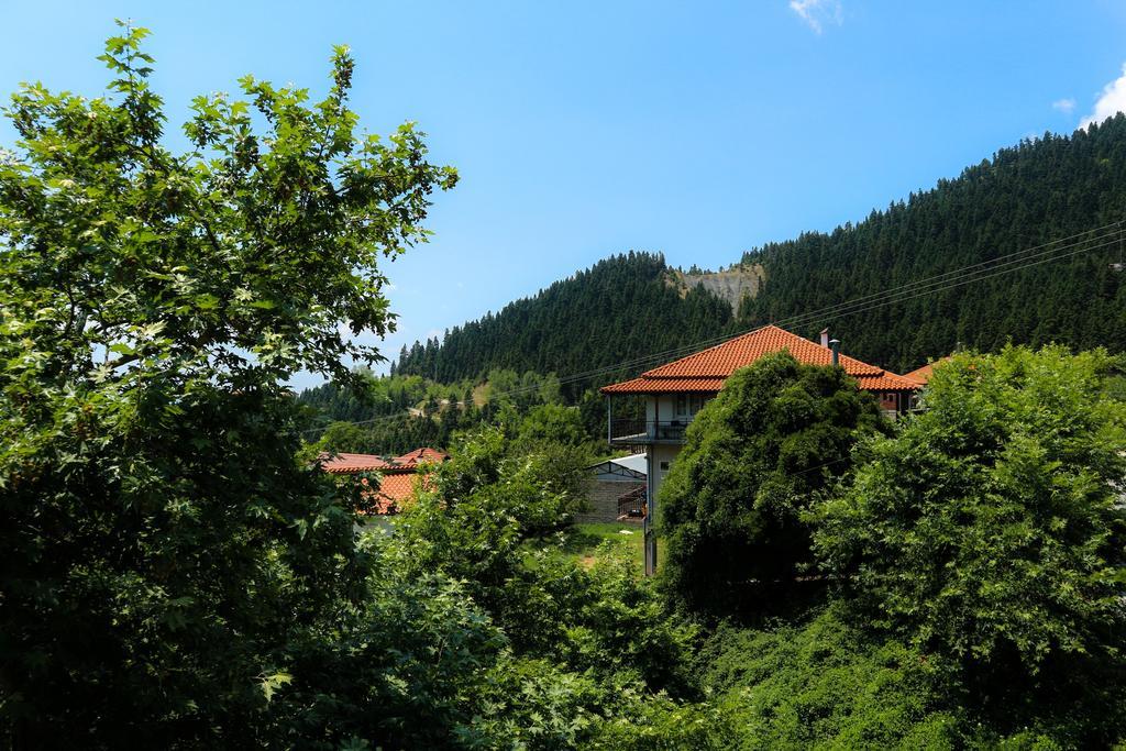 Hotel Elatofilito Athamanio Exteriér fotografie